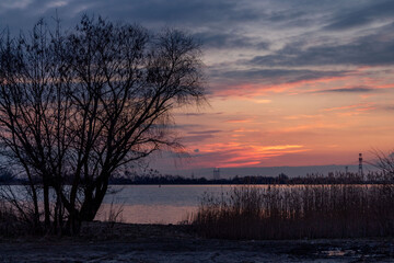 Evening landscape by the water, sunset, reeds