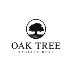 oak tree logo design. logo template