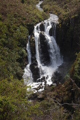 Obraz na płótnie Canvas Forest Waterfall