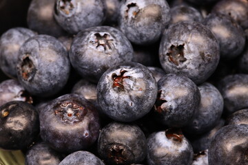 Blueberries close and fresh - 493667775