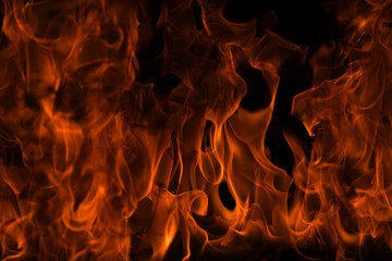 Texture of fire on a black background. Abstract fire flame background, large burning fire.