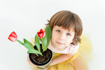 Happy Little girl hold yellow red tulips in pot against a white background. Top view.Spring,gardening and Easter concept.