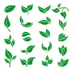 Icon of eco emblem with leaves set