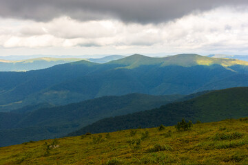 Fototapeta premium mountain landscape on a cloudy day. stormy clouds above peaks and valleys of transcarpathia. summer scenery with green grassy meadows