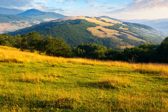 grassy pasture on the hill in morning light. beautiful countryside landscape of carpathian mountains at sunrise. rural valley at the foot on the distant ridge