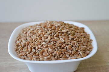 grains of wheat in a white bowl on a wooden kitchen table