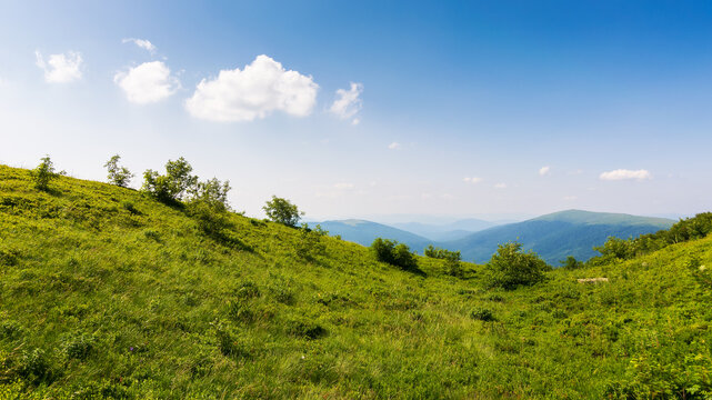 grassy meadow on a sunny afternoon. beautiful carpathian landscape in summer. view. in to the distant rural valley. hills and slopes of runa mountain, ukraine