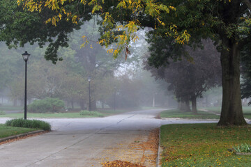 foggy neighborhood streets and trees