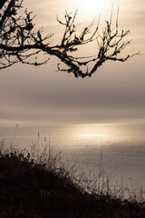 Obraz premium silver gold light shining on the water under the clouds in