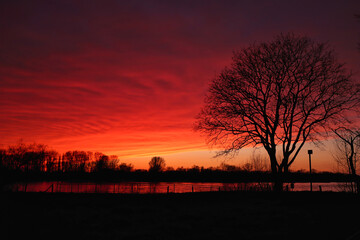 Einsamer Baum vor beeindruckendem Sonnenuntergang
