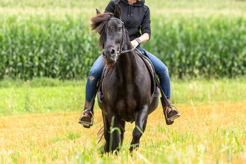 A female equestrian rides her icelandic pony on a field outdoors