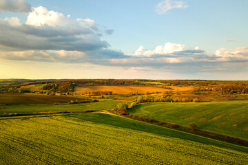 Aerial view of bright green agricultural farm field with growing rapeseed plants at sunset.