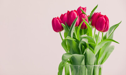 Hintergrund für den Frühlingsanfang, Bündel Tulpen in Vase, pinkfarbene Tulpen mit rosa...