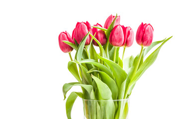 Hintergrund für Frühlingsanfang, Bündel Tulpen in Vase, rosa Tulpen, freigestellt, Freisteller, Frische Tulpen
