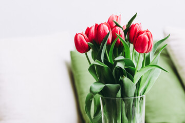 Rote Tulpen in Wohnung, Frühlingsblumen in Wohnung, 