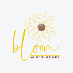 Bloom where you are planted, 
sunflower motivational quotes, typography for t-shirt, poster, sticker and card