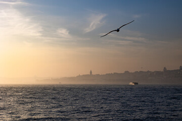 Fototapeta na wymiar Istanbul view. Cityscape of Istanbul at foggy weather with a seagull
