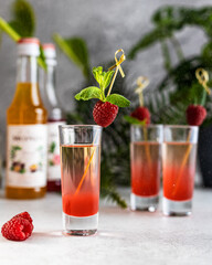 cocktail shots with strawberry and mint