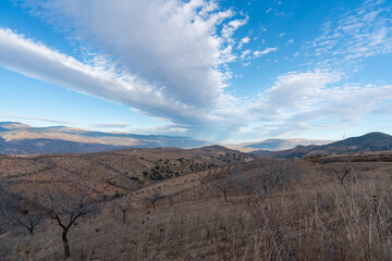 Almond cultivation in the south of Granada (Spain)