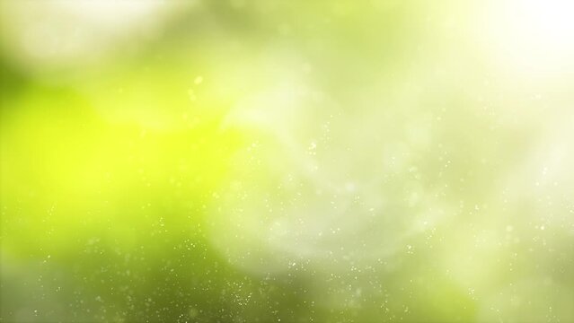 Sunny spring season nature bokeh flicker particles looping copy space animation backgrounds.