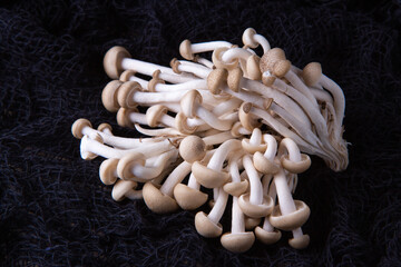 Asian mushrooms are on the black background. 
