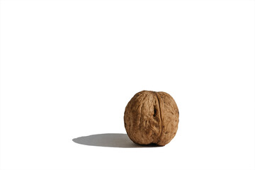 walnut isolated on white background