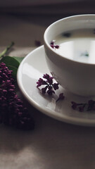 cup of tea. Spring flower lilac