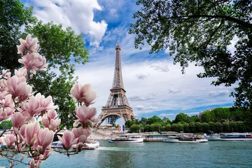 Wandcirkels tuinposter eiffel tour and Paris cityscape © neirfy