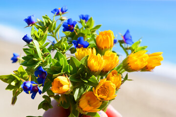 Naklejka na ściany i meble yellow and blue flowers