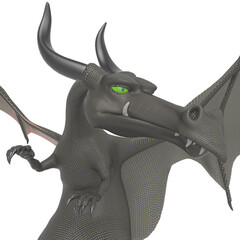 Fototapeta premium strawberry dragon close up view