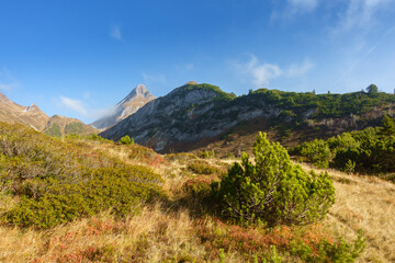 Almlandschaft in den Bergen von Tirol