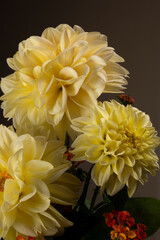 A stunning studio set with yellow Dahlia flowers with small orange flowers to fill taken vintage type lighting perfect for valentines or table to setting or just to brighten a room