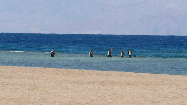 Aqualungers dip on water of Red sea. Picturesque seascape with sandy shore, scuba dudes, mountains in distance. Free divers, underwater swimmers preparing for undersea work, exploring of marine life