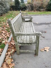 bench in autumn park