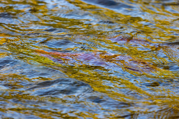 surface of a flowing river with a streak of red color