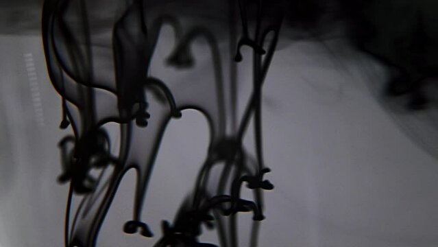 Cinematic macro paont whater, Macro video shot of white dye paint mixing in water, Liquids blending together, Ideal for music video compositions, Slow motion, 4k