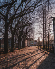 Empty street of Nowy Port with trees on the sides on a sunny winter day.