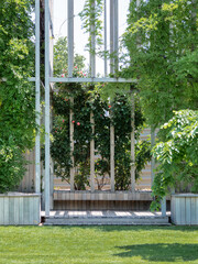 Trellis roses upon wooden benches in public park. Beautiful flowers near place for rest and lawn...