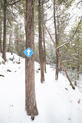 Trail sign along path in winter forest 