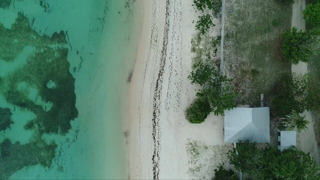 aerial view from a quadrocopter on the autumn beach and sea