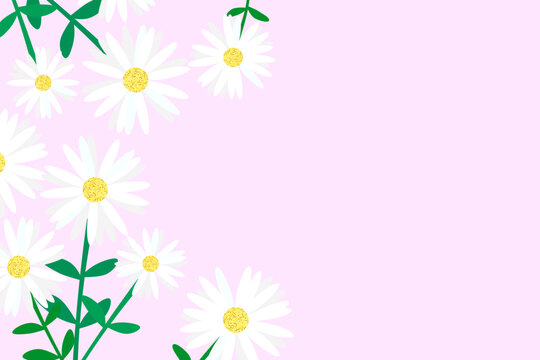 Pink white daisies background with space for text