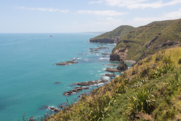Fototapeta na wymiar Marine Landscape. The view of rocky coastline at West Coast near Auckland, New Zealand.