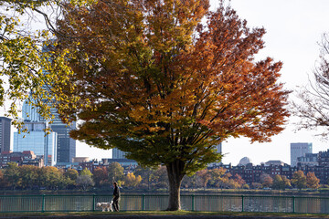 autumn in the park