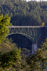 Fototapeta na wymiar steel bridge over ocean inlet with forest cliffs