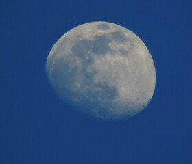 Moon  view during daytime