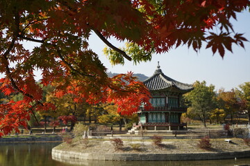 경복궁은 가을 단풍으로 아름답습니다.