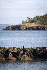 Fototapeta na wymiar blue sunny ocean with rocky beach and seagulls
