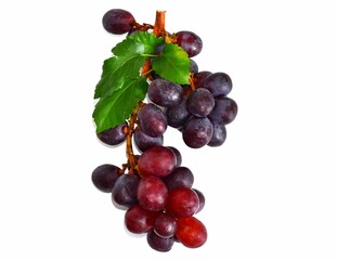 red grapes isolated on white
