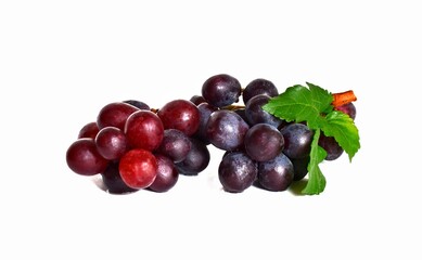 dark red grapes on a white background
