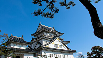 Fototapeta premium 岸和田城